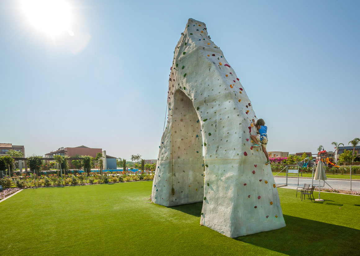 Climbing Wall