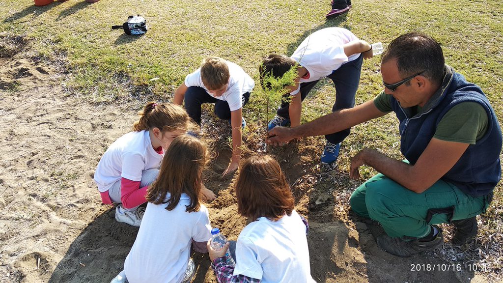 IMG_tree planting