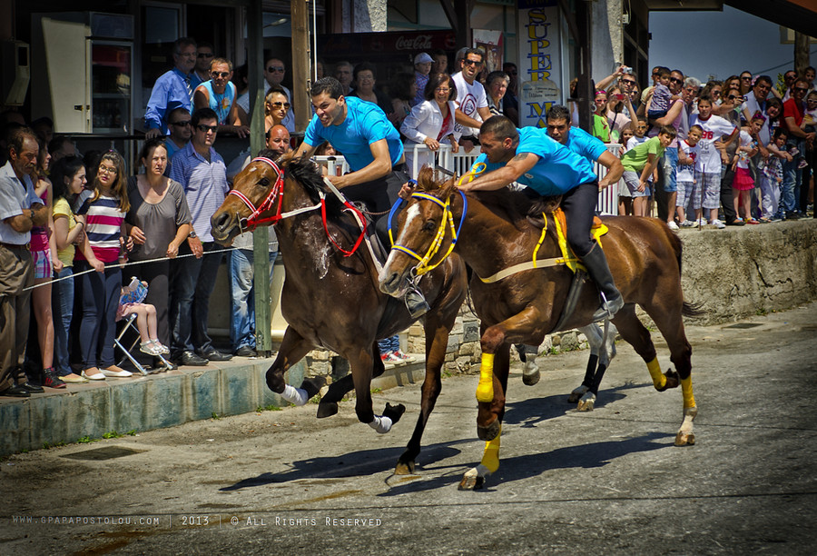 Pyli horse race