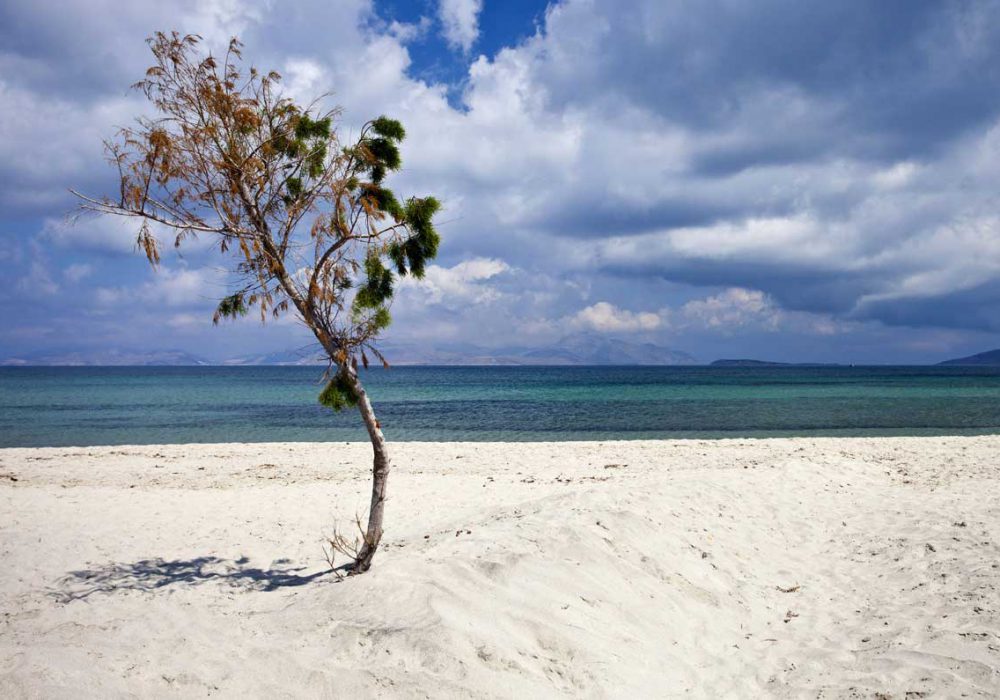 Tigkaki Beach: One of the Finest on Kos