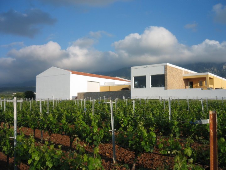 Triantafillopoulos vineyards