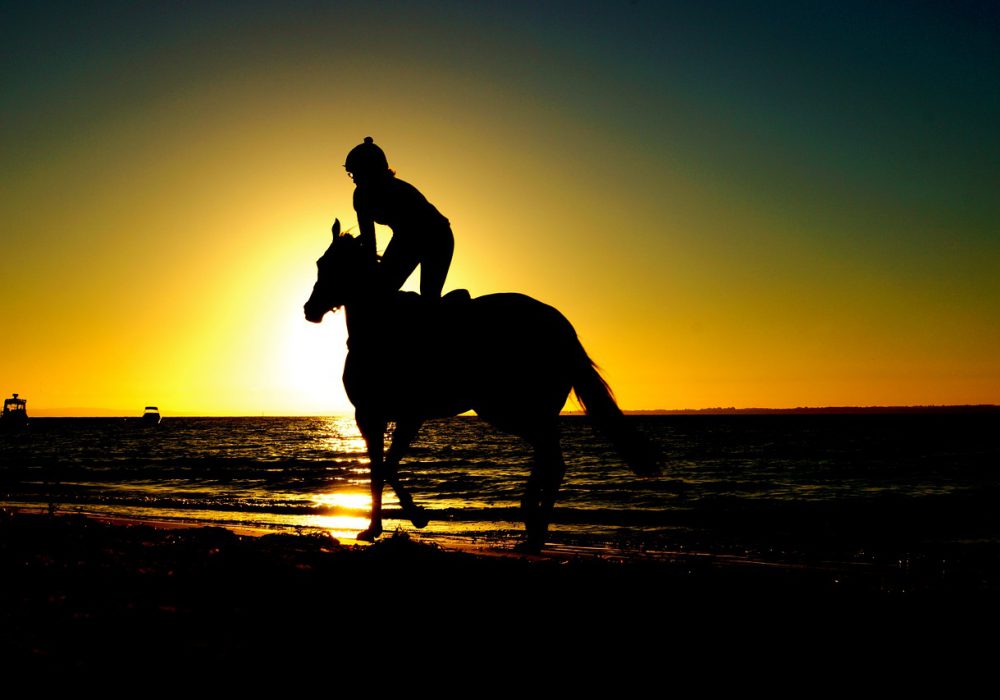 Horseback Riding on Kos